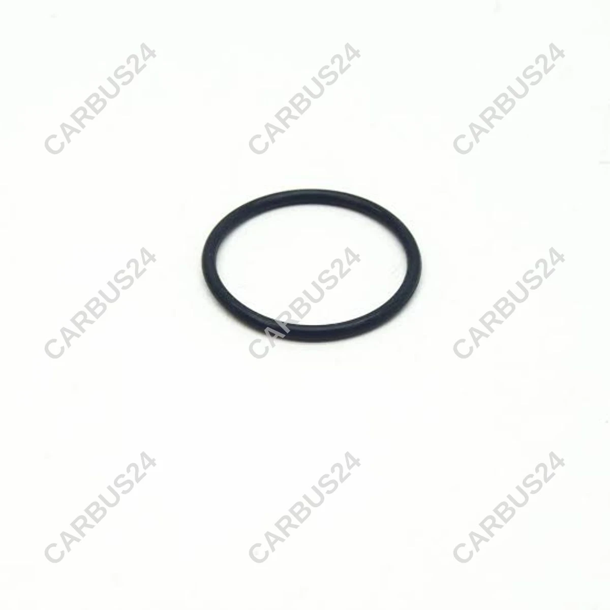 LAND ROVER LR096841 O-RING — image 1 of 1